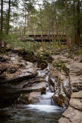 Seven Tubs Nature Area