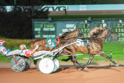 Harness Racing