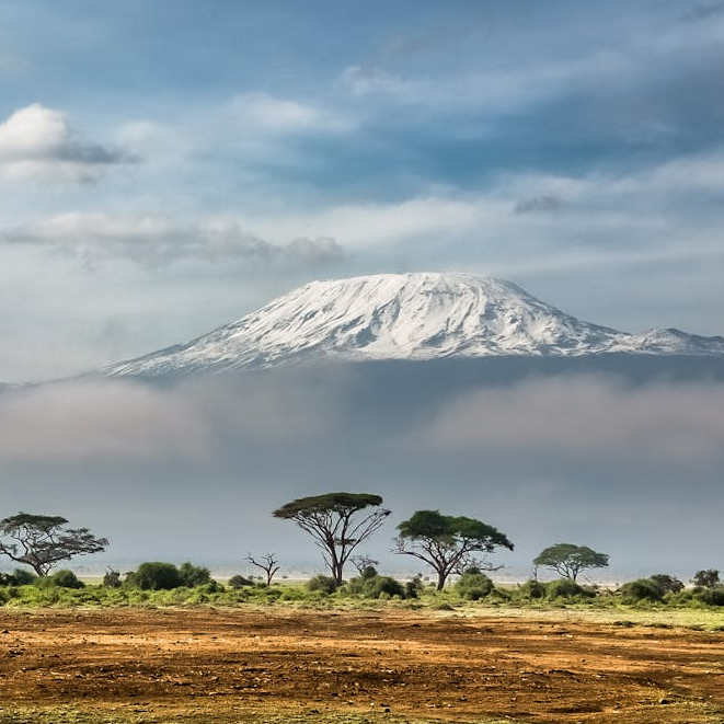 Kilimanjaro image