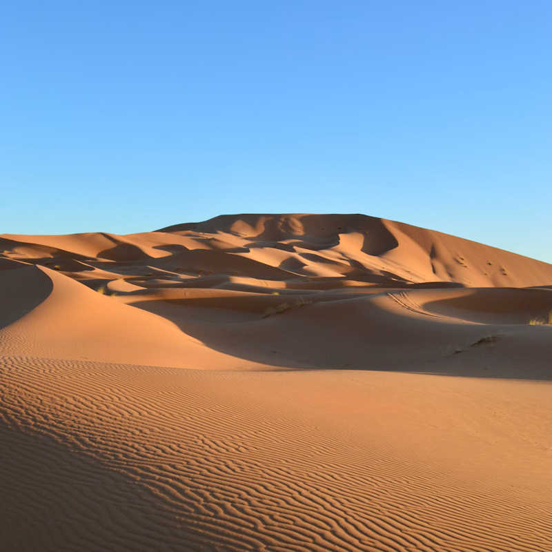 Sahara image